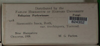 Image Associated With the Occurence
